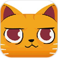 惊慌的猫