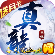 真龙战魂公益服