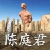 孙美琪疑案陈庭君最新版