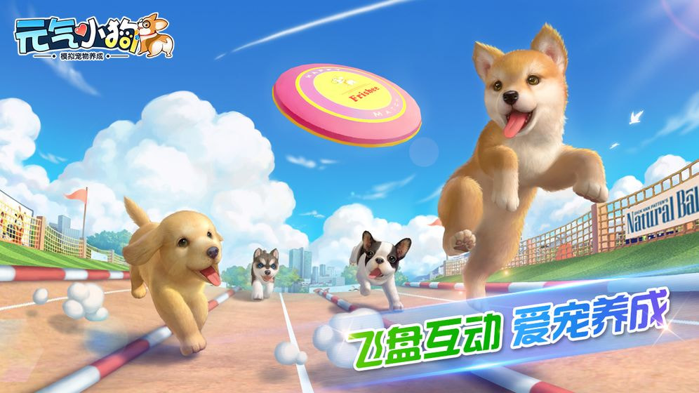 元气小狗测试版