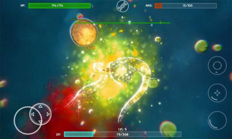 孢子的进化起源 孢子的进化起源