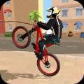 BMX自行车滑轮