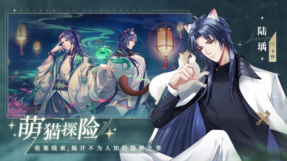 猫之宿约者无限猫币