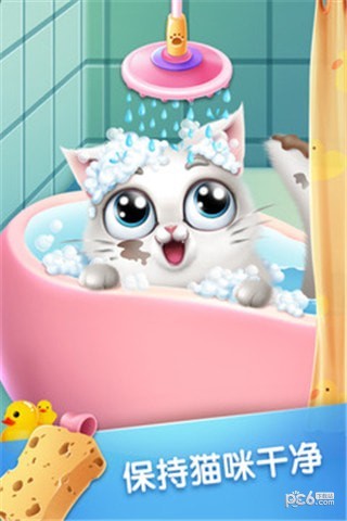 口袋猫咪游戏下载