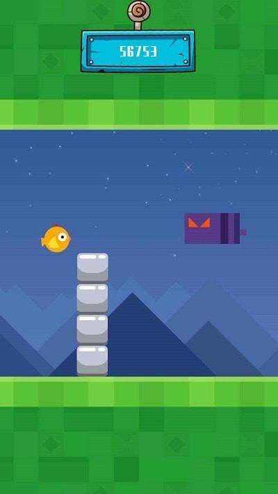 小鸟不会飞 小鸟不会飞