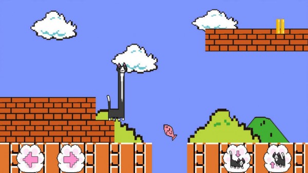 我家有只残疾猫