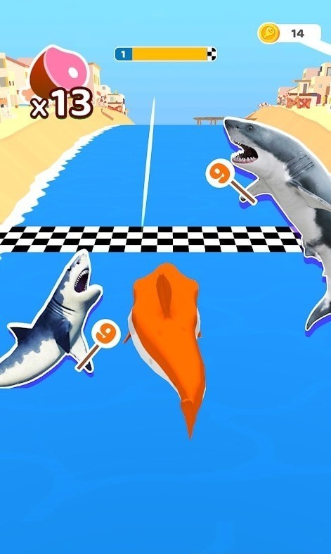 sharkrun