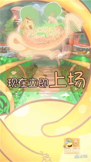 猫咪生存日记